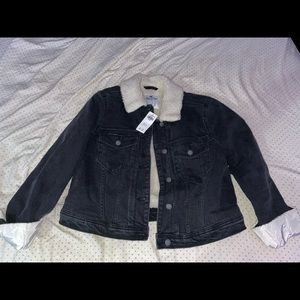 Hollister, Color Black, and Size Medium